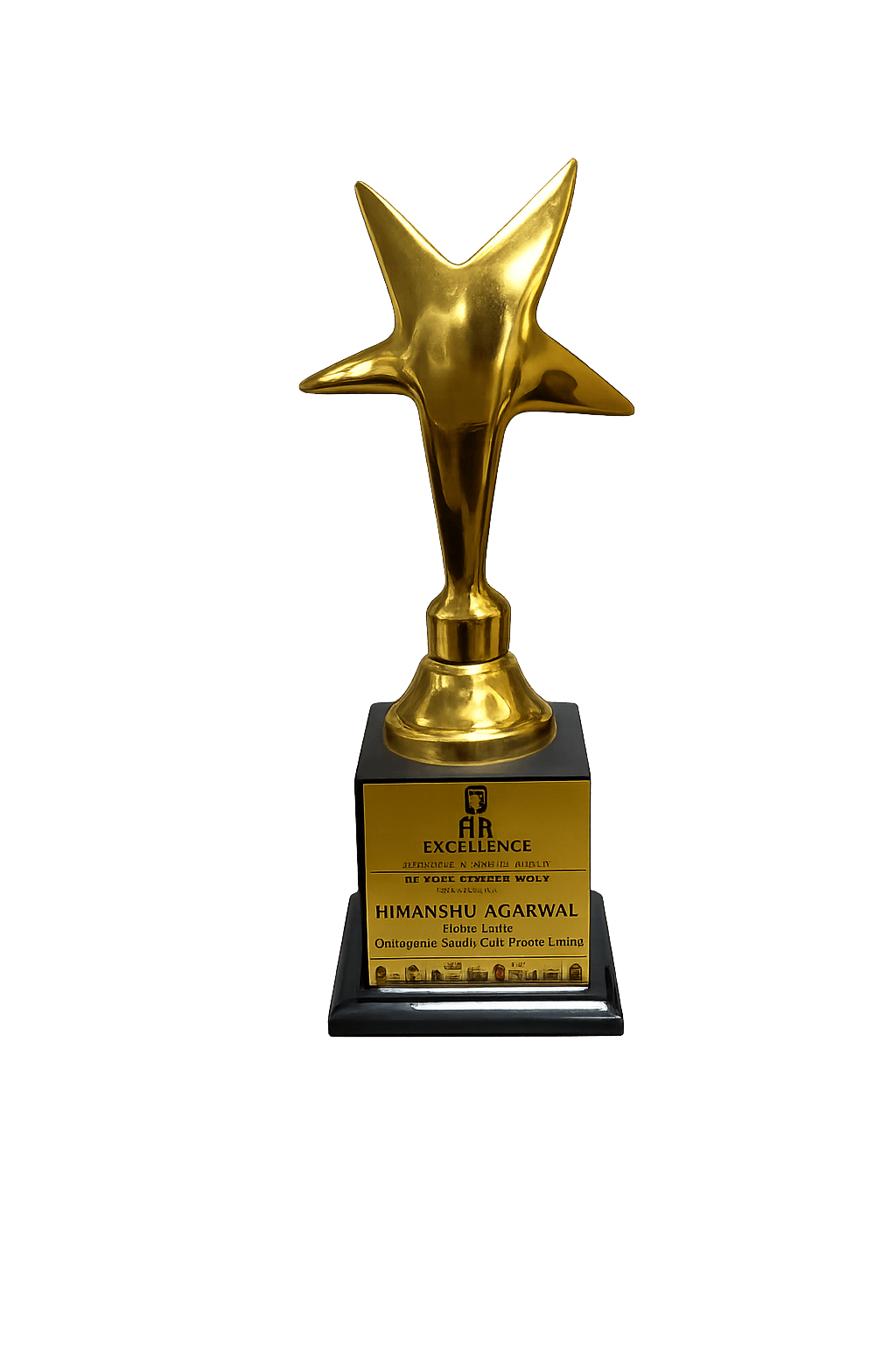 HR Excellence Award at the North Indian Stars Award Ceremony icon
